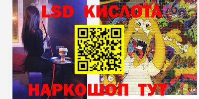 гидропоника Будённовск